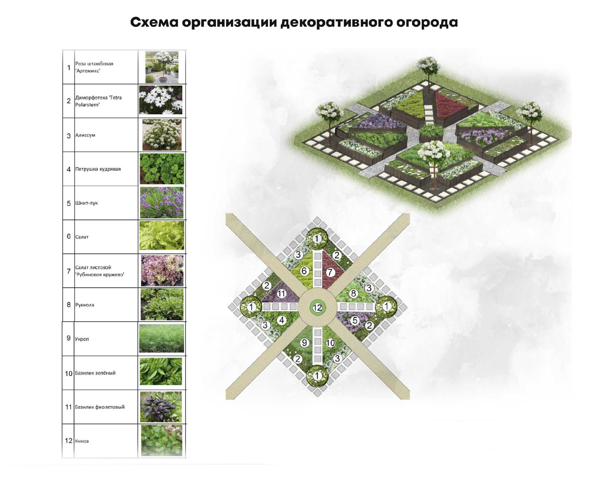 Ландшафтный дизайн-проект загородного дома Миллениум